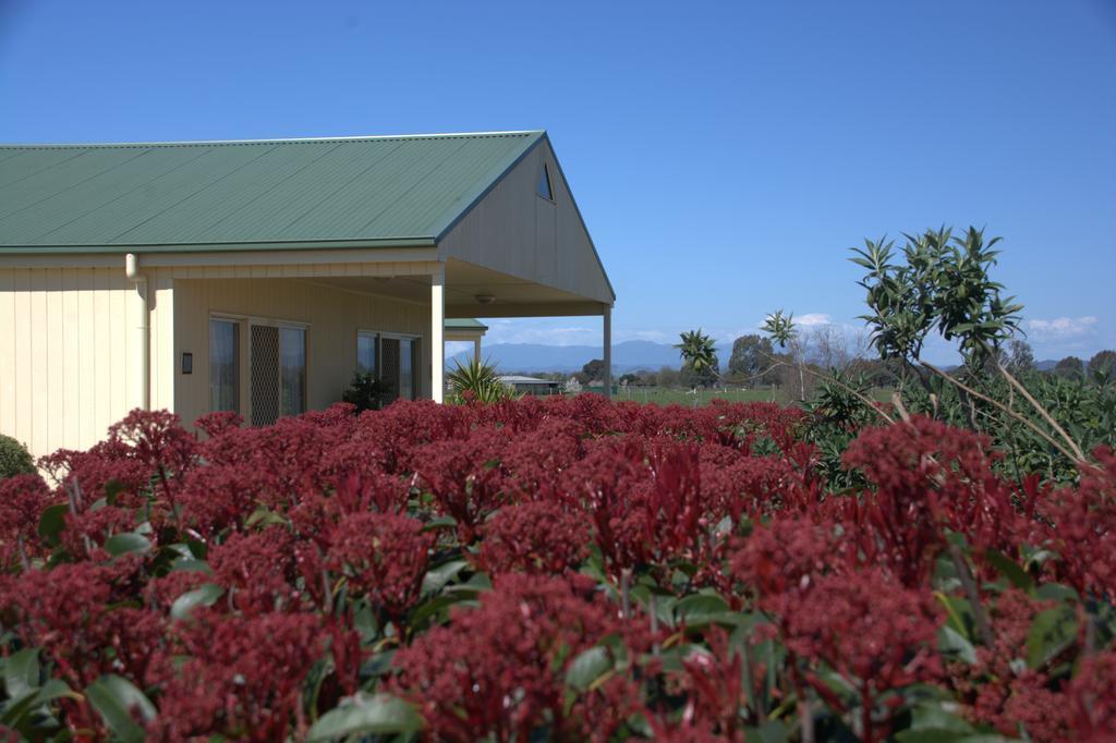 Milawa Muscat Retreat B&B Bagian luar foto